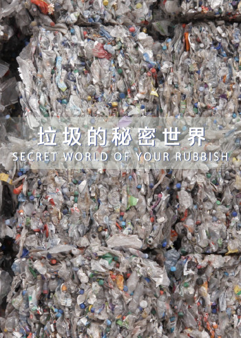 重生之武尊当道